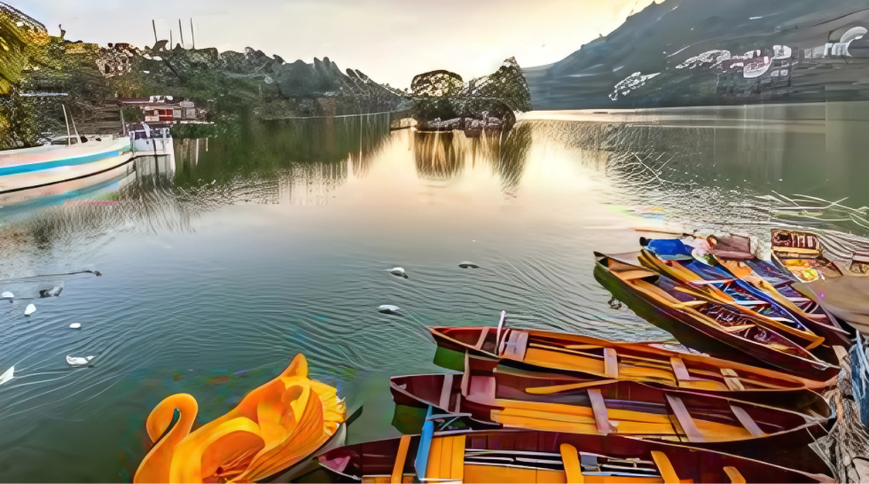 Domestic Tours (India)